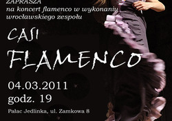 CASI FLAMENCO