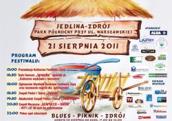 IX Dolnośląski Festiwal Zupy 21-08-2011